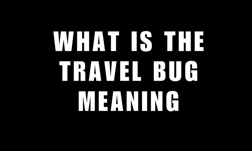 travel bug meaning slang