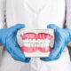 Best Dental Schools in Canada: Unlocking Your Dental Success